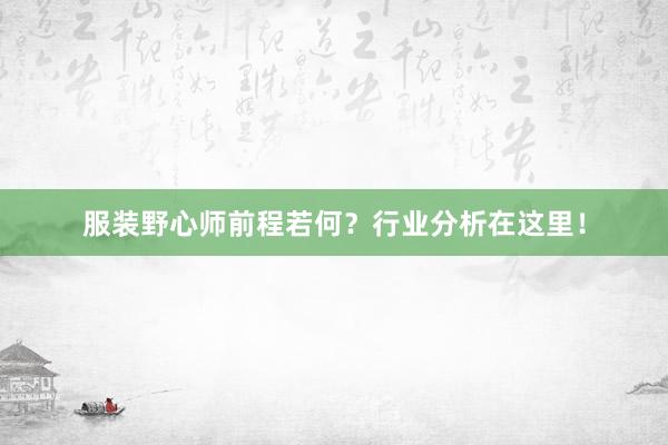 服装野心师前程若何？行业分析在这里！