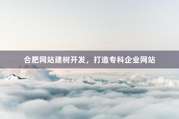合肥网站建树开发，打造专科企业网站