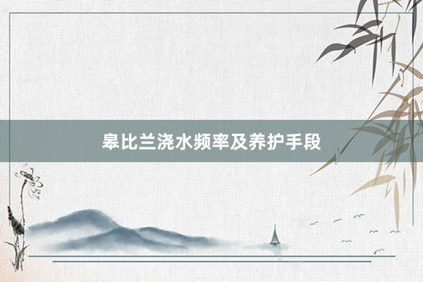 皋比兰浇水频率及养护手段