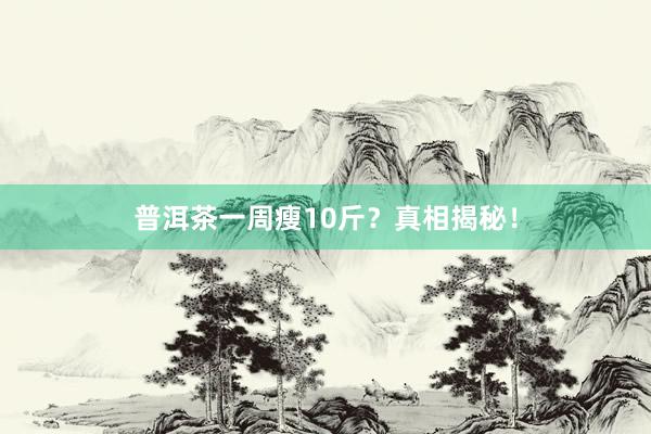 普洱茶一周瘦10斤？真相揭秘！