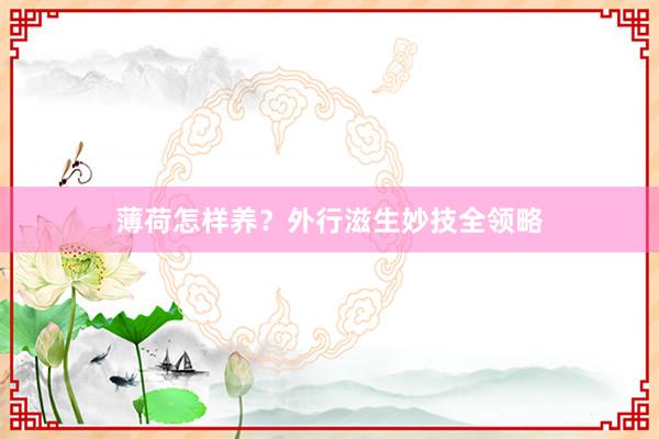 薄荷怎样养？外行滋生妙技全领略